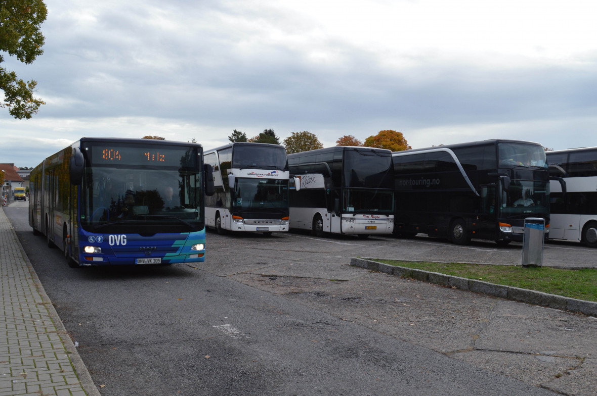 Anwohner beklagen: Luftverschmutzung, Lrmbelstigung und Erschtterungen mit Rissen der Huser durch den Busverkehr, Foto: Christian Howe