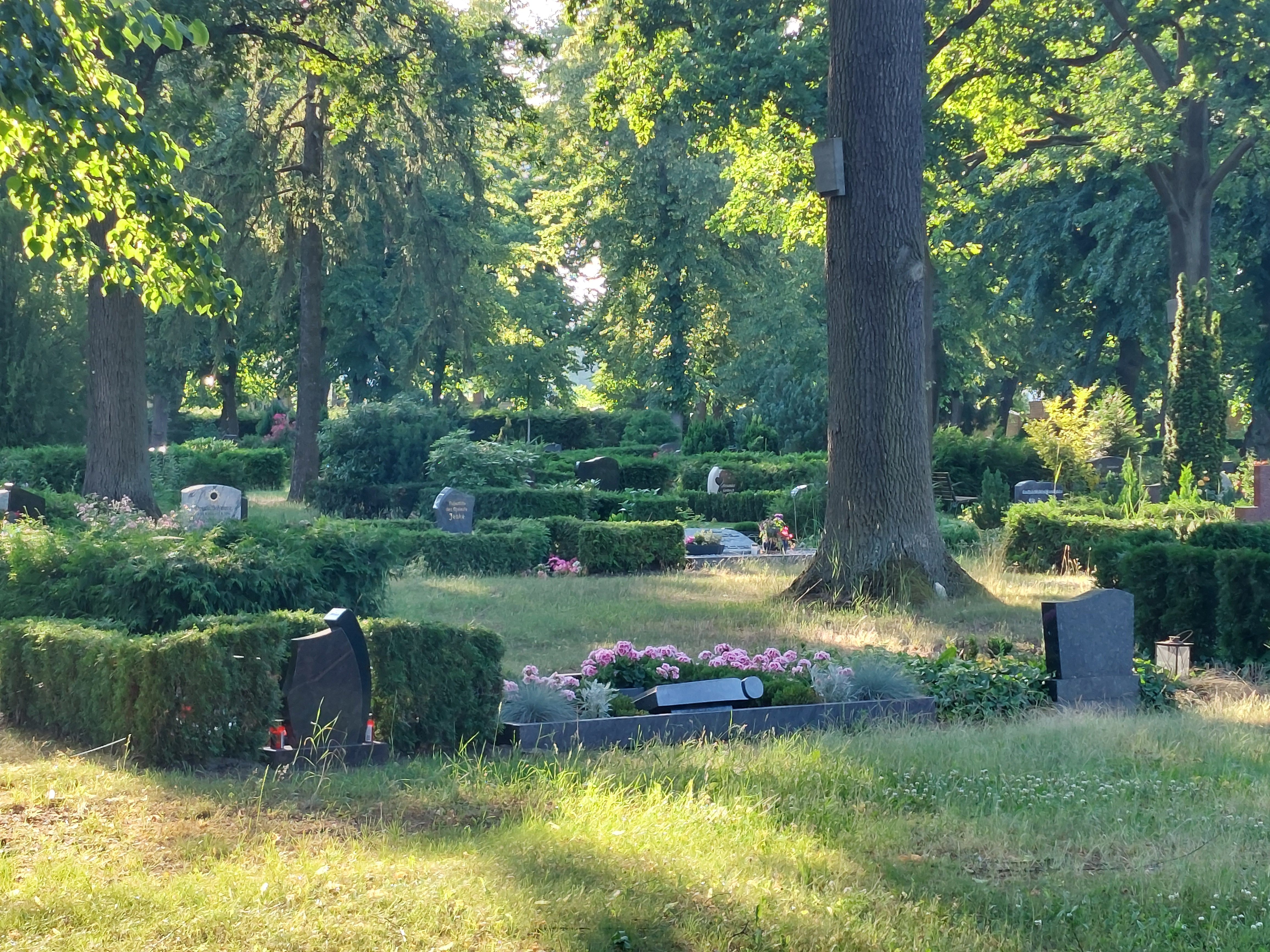 Die Stadtverwaltung plant eine Gebührenerhöhung von bis zu 60 Prozent, Foto: Christian Howe Die Stadtverwaltung plant eine Gebührenerhöhung von bis zu 60 Prozent, Foto: Christian Howe
